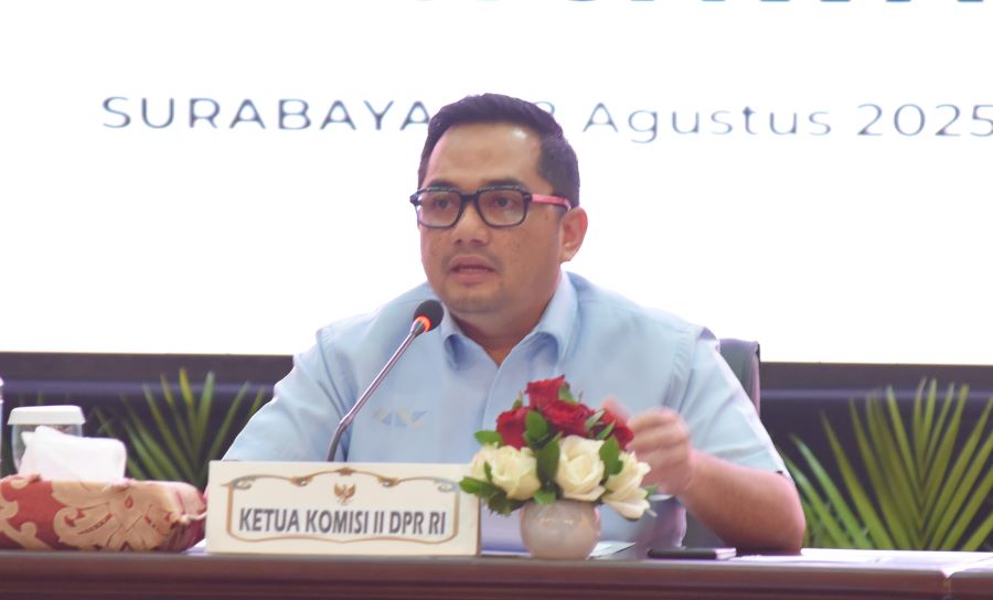 Rifqinizamy Minta Pemda Kembangkan Skema Pembiayaan Kreatif