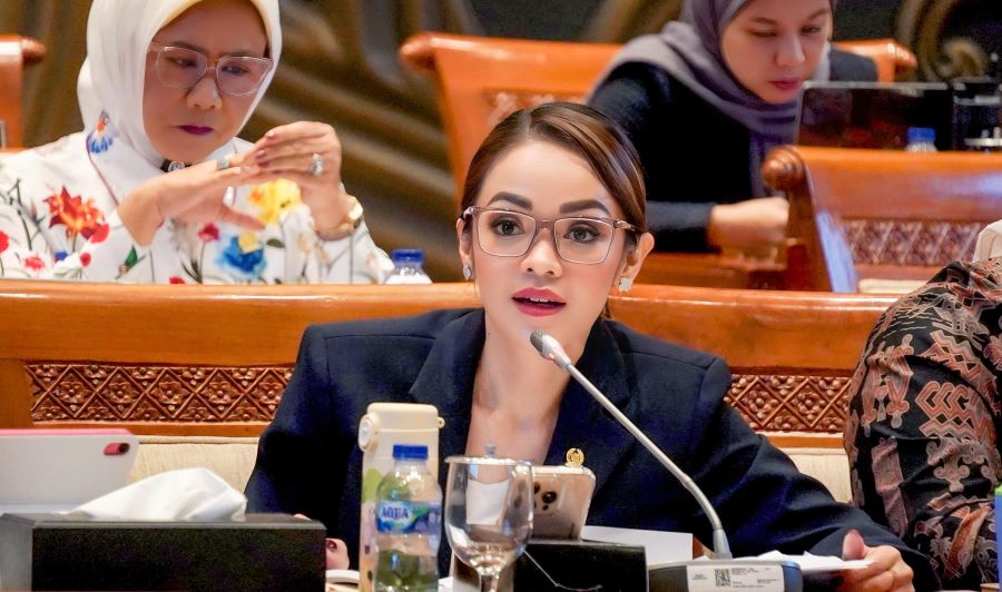 Pemerintah Harus Bergerak Cepat Bebaskan WNI yang Ditahan Militer Israel