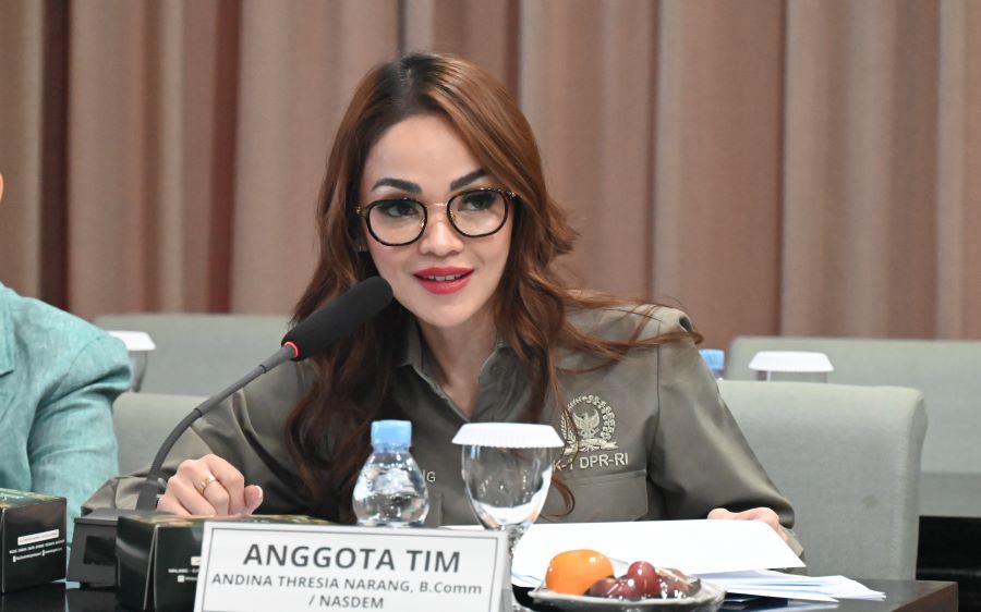 Andina Narang Dukung Peran Aktif Indonesia di ISF Gaza