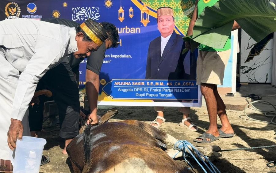Arjuna Sakir Serahkan Sapi Kurban untuk Warga Siriwini Nabire