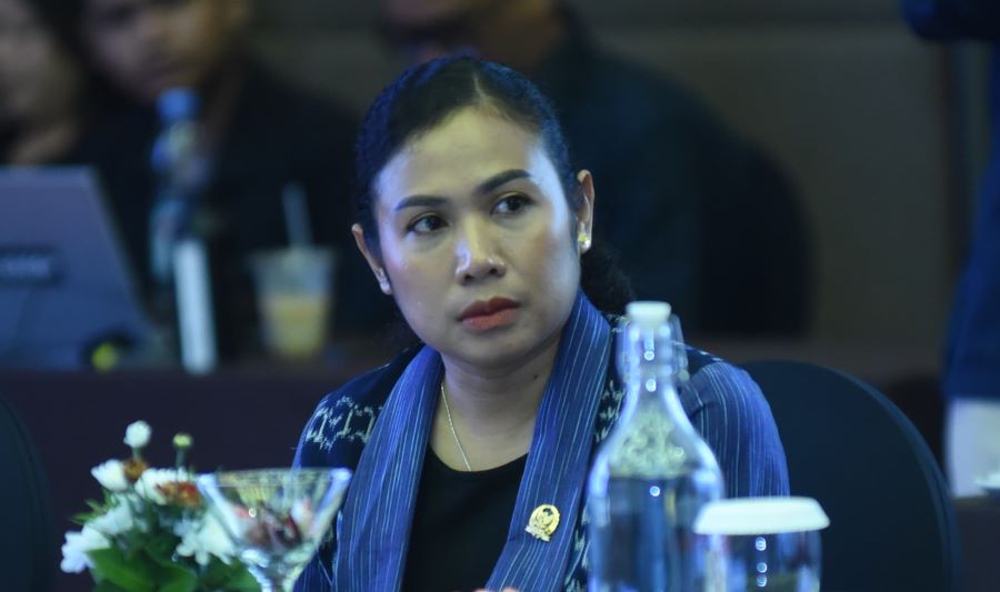 Cheroline Berharap Pemerintah Optimalkan Pengembangan EBT di Papua Barat