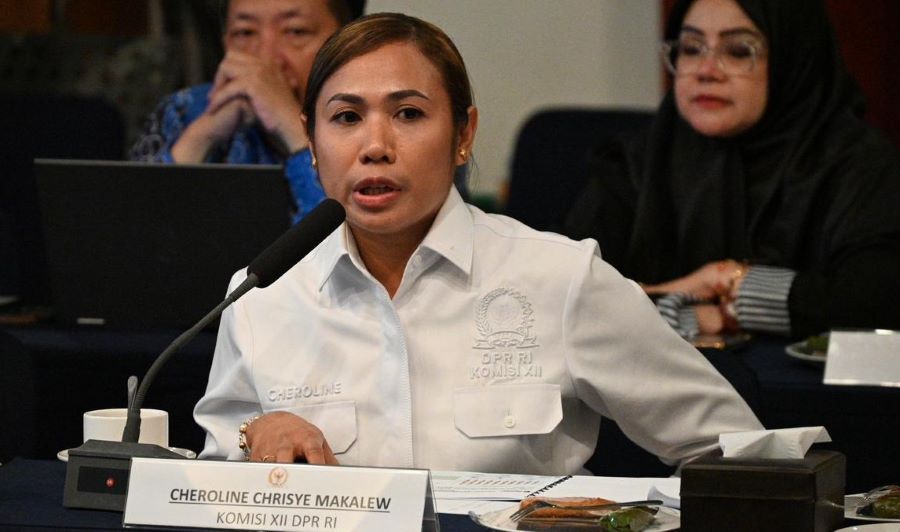 Pengembangan Perkebunan Sawit di Papua Perlu Kajian Mendalam