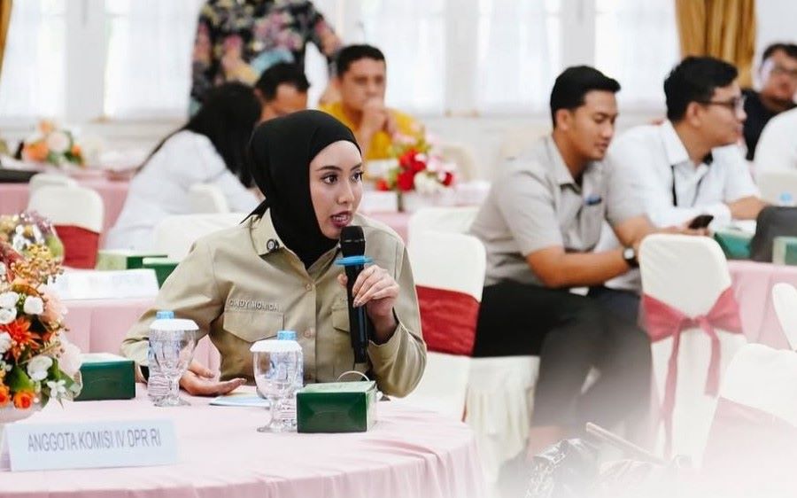 Butuh Aksi Konkret dan Terpadu Hadapi Kebakaran Hutan di Sumatra Barat