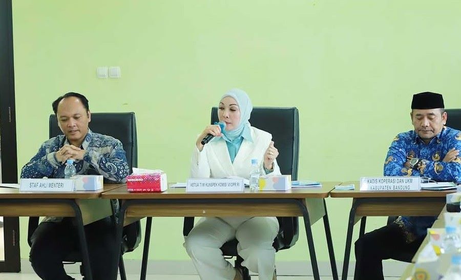 Erna Sari Soroti Sejumlah Permasalahan Pendampingan UMKM