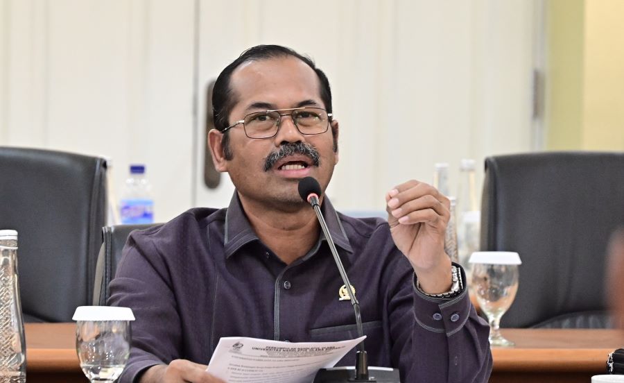 Perlu Pendekatan Spesifik dalam Menyikapi Keberadaan PTKL