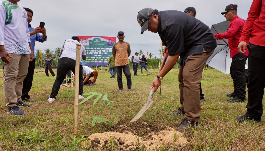 Gobel Pimpin Gerakan Tanam Satu Juta Bambu di Boalemo Gorontalo