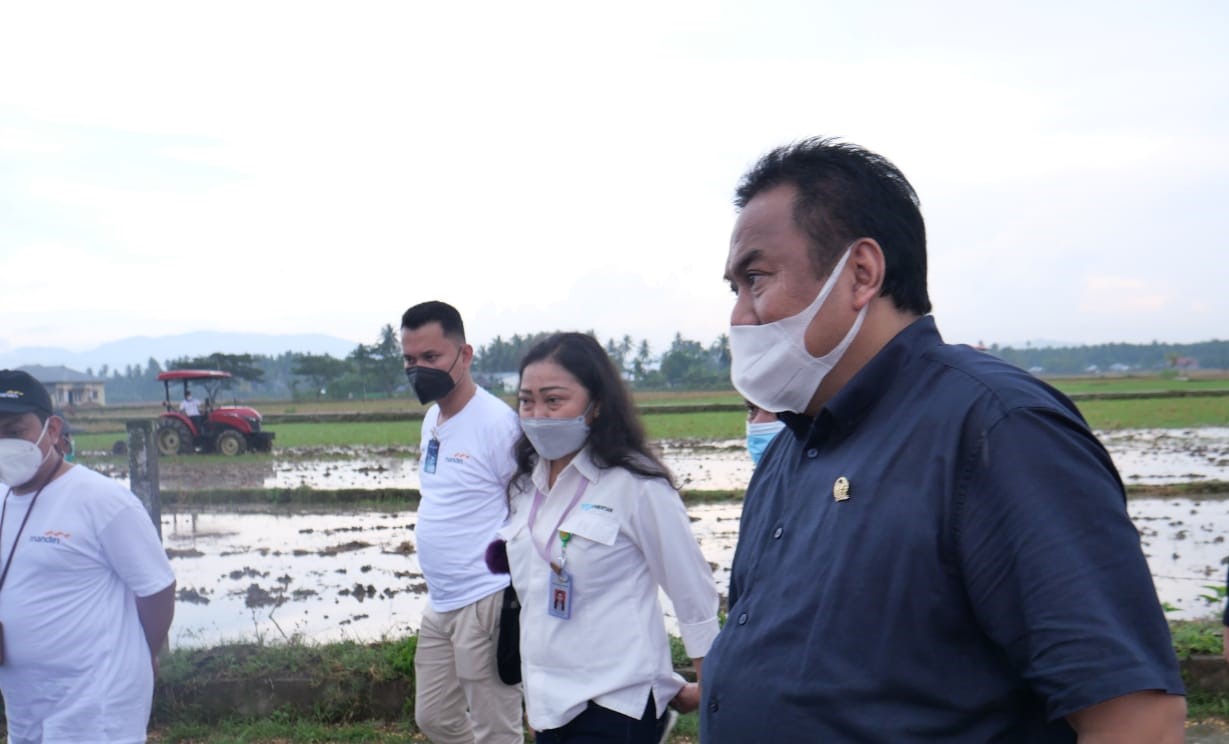 Warga Gorontalo Harus Awasi Distribusi Beras dari Luar