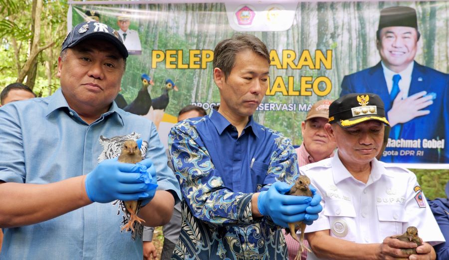 Gobel Ajak Masyarakat Lindungi Maleo sebagai Burung Endemik Sulawesi