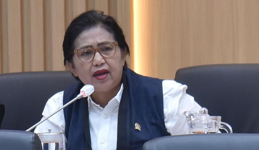 Terkait Anggur Muscat, Irma Minta BPOM dan Badan Karantina Tingkatkan Koordinasi