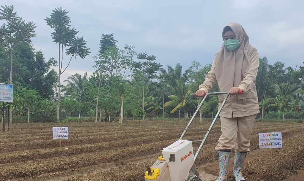 NasDem Ajak Kaum Wanita Jaga Ketahanan Pangan