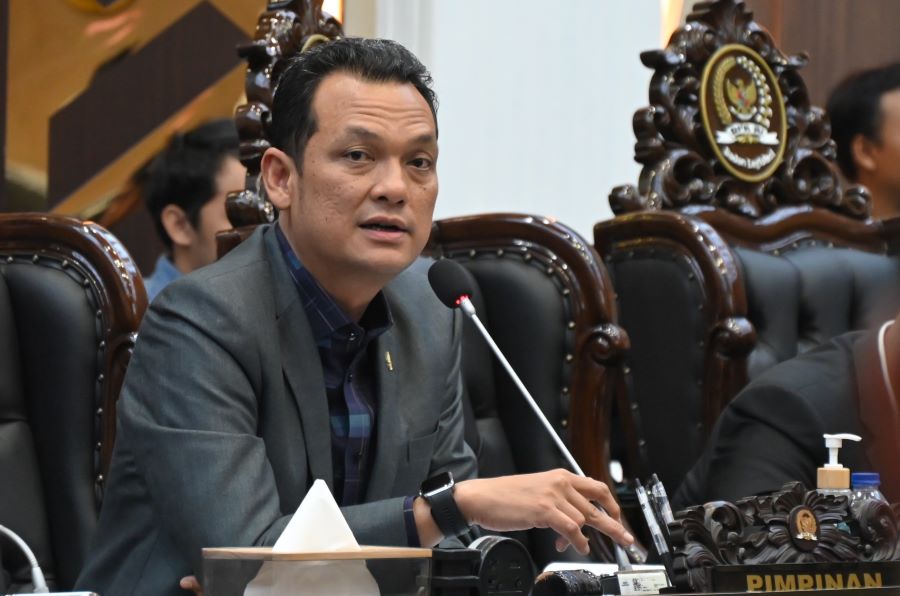 Martin Manurung: Baleg Tindaklanjuti Putusan MK soal Hak Pensiun Pejabat Negara