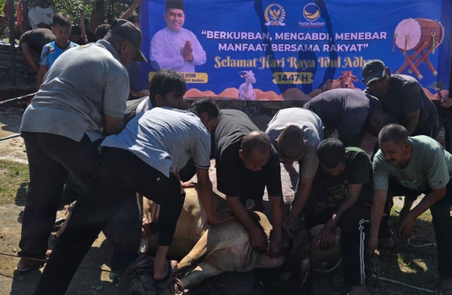 Muslim Ayub Salurkan Hewan Kurban di Banda Aceh dan Aceh Tenggara