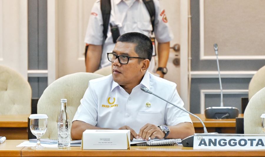 Legislator NasDem Dorong Unifikasi Data Statistik Nasional