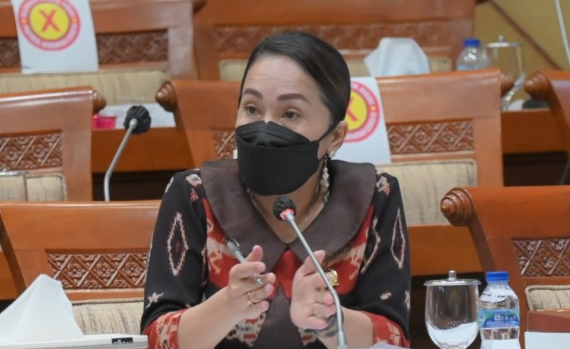 Ratu Wulla Desak Pemerintah Benahi Sistem Jaminan Sosial Nasional