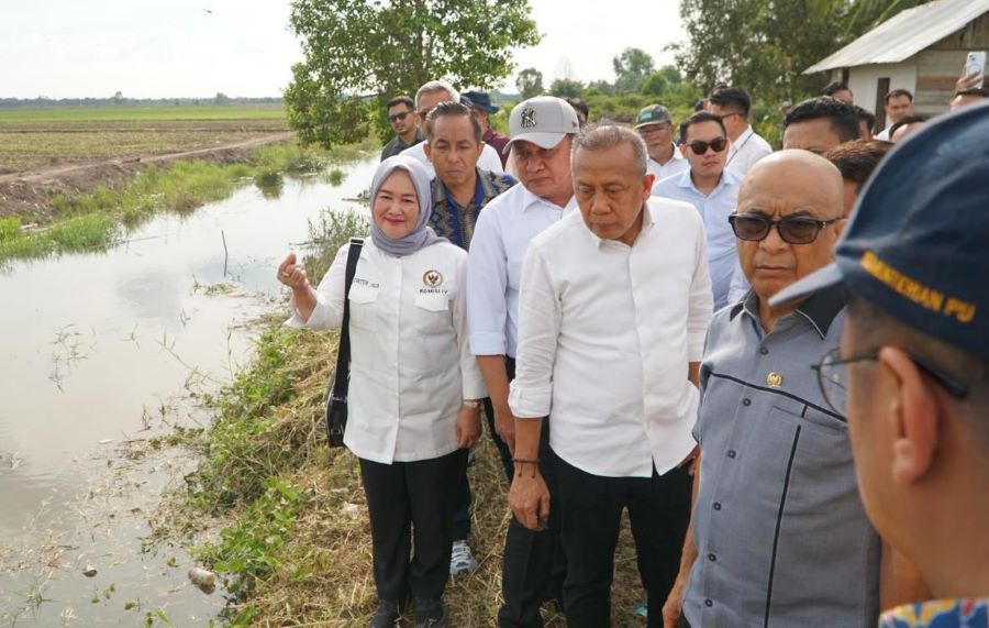 Saan Mustopa Dorong Sumsel Jadi Fondasi Kedaulatan Pangan Nasional