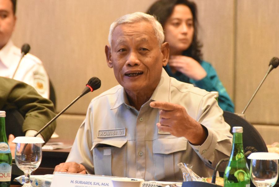 BUMN Pariwisata dan Transportasi Perlu Perkuat Integrasi Layanan Publik
