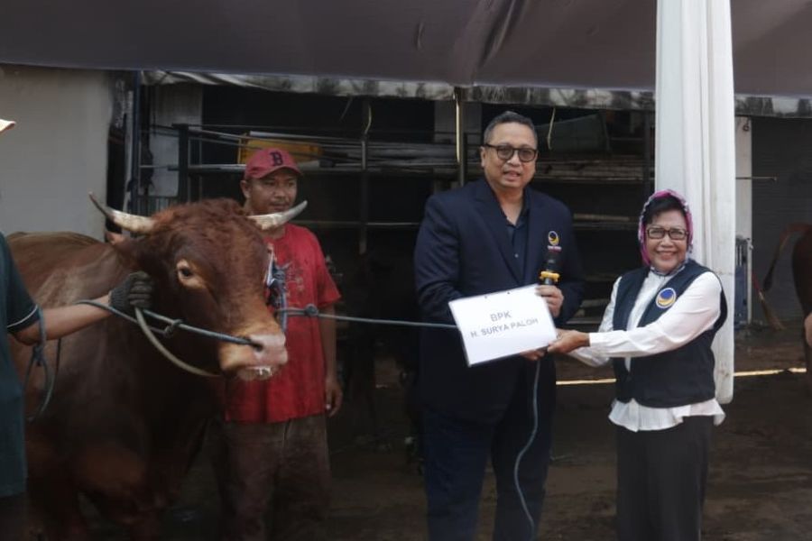 Surya Paloh Serahkan Dua Sapi Limosin ke ABN NasDem