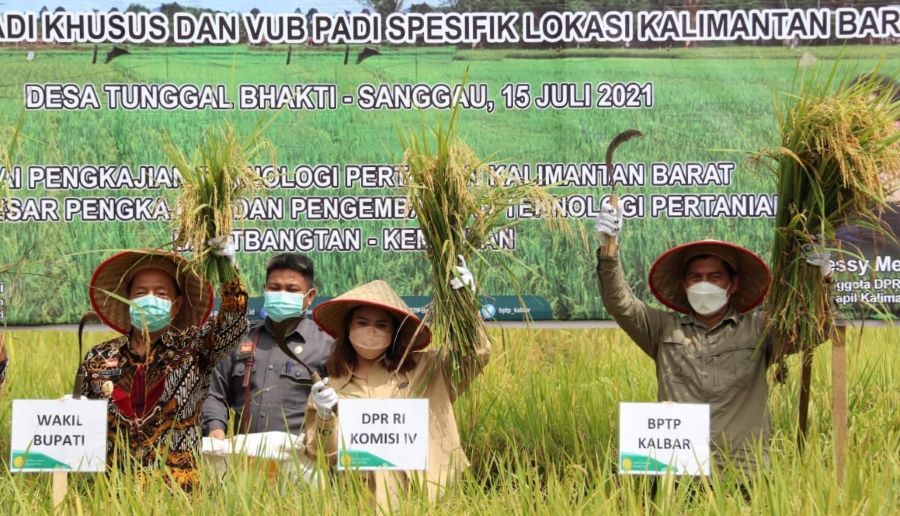 Yessy Dorong Inovasi Sektor Pertanian